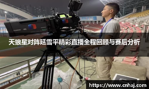 天狼星对阵延雪平精彩直播全程回顾与赛后分析