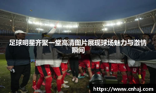 足球明星齐聚一堂高清图片展现球场魅力与激情瞬间